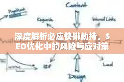 深度解析必应快排劫持，SEO优化中的风险与应对策略