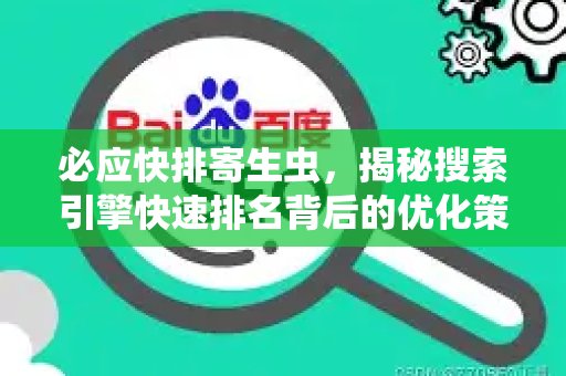 必应快排寄生虫，揭秘搜索引擎快速排名背后的优化策略