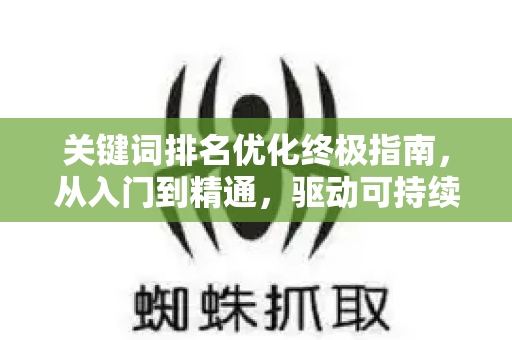关键词排名优化终极指南，从入门到精通，驱动可持续流量增长