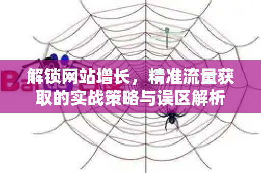 解锁网站增长，精准流量获取的实战策略与误区解析-第1张图片-星博讯-专业SEO_网站优化技巧_搜索引擎排名提升