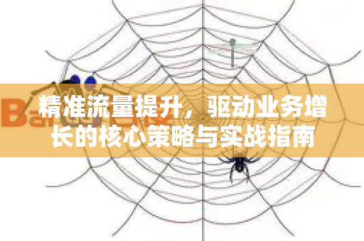 精准流量提升，驱动业务增长的核心策略与实战指南-第1张图片-星博讯-专业SEO_网站优化技巧_搜索引擎排名提升