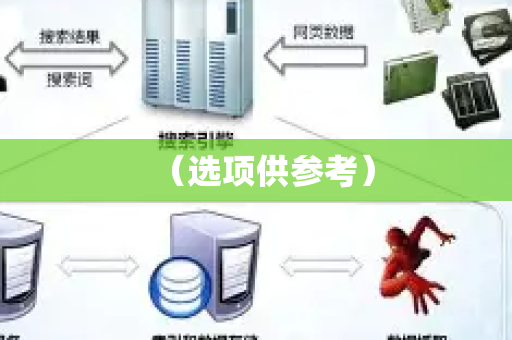 （选项供参考）-第1张图片-星博讯-专业SEO_网站优化技巧_搜索引擎排名提升