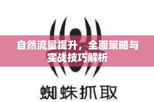 自然流量提升,全面策略与实战技巧解析-第1张图片-星博讯-专业SEO_网站优化技巧_搜索引擎排名提升 自然流量提升,全面策略与实战技巧解析-第1张图片-星博讯-专业SEO_网站优化技巧_搜索引擎排名提升