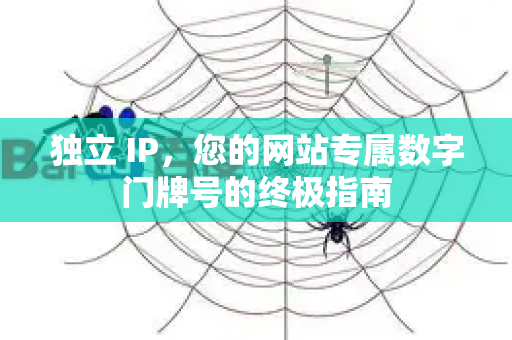 独立 IP,您的网站专属数字门牌号的终极指南-第1张图片-星博讯-专业SEO_网站优化技巧_搜索引擎排名提升 独立 IP,您的网站专属数字门牌号的终极指南-第1张图片-星博讯-专业SEO_网站优化技巧_搜索引擎排名提升
