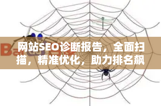 网站SEO诊断报告，全面扫描，精准优化，助力排名飙升