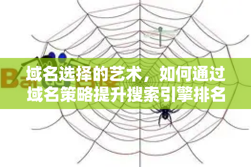 域名选择的艺术，如何通过域名策略提升搜索引擎排名