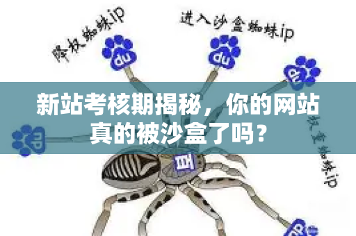 新站考核期揭秘，你的网站真的被沙盒了吗？-第1张图片-星博讯-专业SEO_网站优化技巧_搜索引擎排名提升