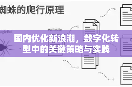 国内优化新浪潮，数字化转型中的关键策略与实践-第1张图片-星博讯-专业SEO_网站优化技巧_搜索引擎排名提升
