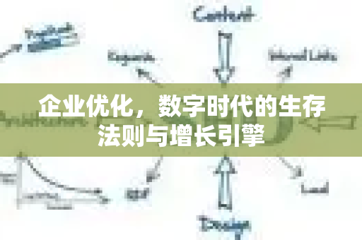 企业优化，数字时代的生存法则与增长引擎-第1张图片-星博讯-专业SEO_网站优化技巧_搜索引擎排名提升