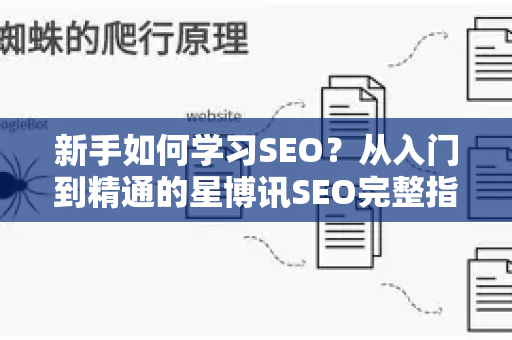 新手如何学习SEO？从入门到精通的星博讯SEO完整指南