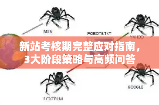 新站考核期完整应对指南，3大阶段策略与高频问答-第1张图片-星博讯-专业SEO_网站优化技巧_搜索引擎排名提升