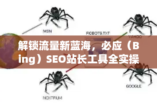 解锁流量新蓝海，必应（Bing）SEO站长工具全实操指南