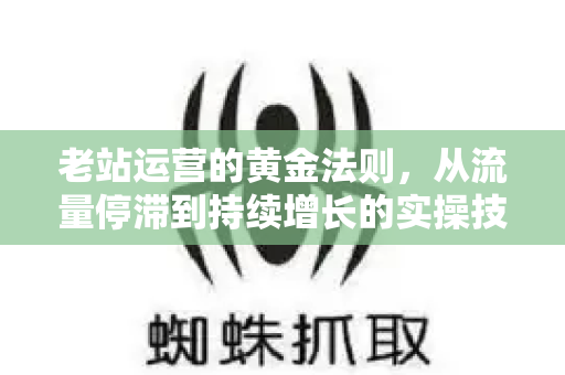 老站运营的黄金法则,从流量停滞到持续增长的实操技巧-第1张图片-星博讯-专业SEO_网站优化技巧_搜索引擎排名提升 老站运营的黄金法则,从流量停滞到持续增长的实操技巧-第1张图片-星博讯-专业SEO_网站优化技巧_搜索引擎排名提升