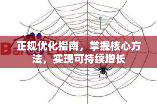 正规优化指南，掌握核心方法，实现可持续增长-第1张图片-星博讯-专业SEO_网站优化技巧_搜索引擎排名提升