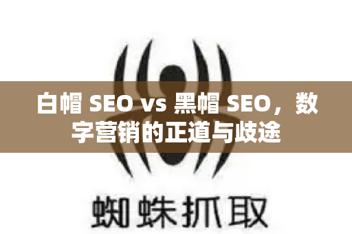 白帽 SEO vs 黑帽 SEO，数字营销的正道与歧途