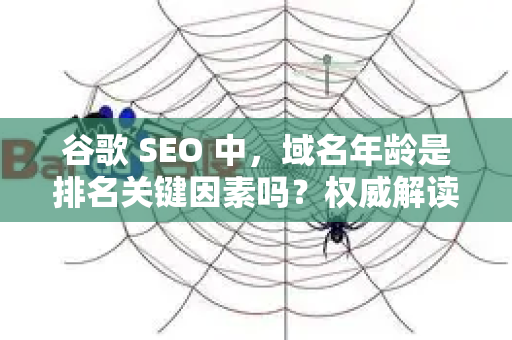 谷歌 SEO 中，域名年龄是排名关键因素吗？权威解读与真相