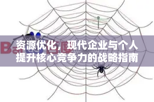 资源优化，现代企业与个人提升核心竞争力的战略指南-第1张图片-星博讯-专业SEO_网站优化技巧_搜索引擎排名提升