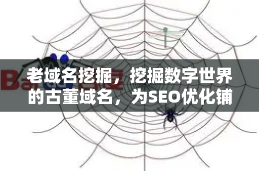 老域名挖掘,挖掘数字世界的古董域名,为SEO优化铺就黄金之路-第1张图片-星博讯-专业SEO_网站优化技巧_搜索引擎排名提升 老域名挖掘,挖掘数字世界的古董域名,为SEO优化铺就黄金之路-第1张图片-星博讯-专业SEO_网站优化技巧_搜索引擎排名提升
