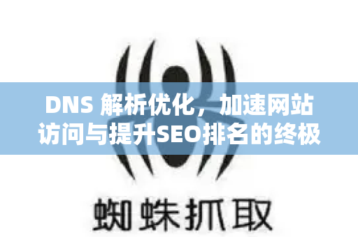 DNS 解析优化，加速网站访问与提升SEO排名的终极指南-第1张图片-星博讯-专业SEO_网站优化技巧_搜索引擎排名提升