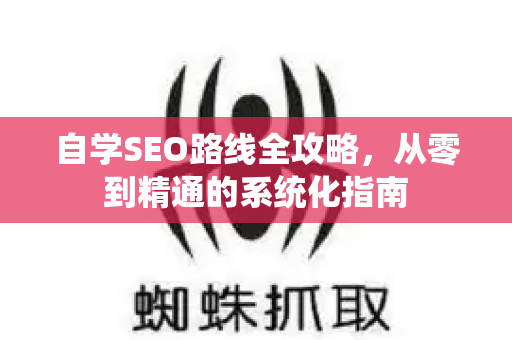 自学SEO路线全攻略，从零到精通的系统化指南-第1张图片-星博讯-专业SEO_网站优化技巧_搜索引擎排名提升