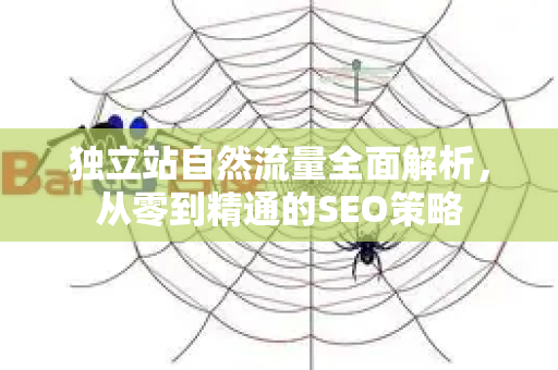 独立站自然流量全面解析,从零到精通的SEO策略-第1张图片-星博讯-专业SEO_网站优化技巧_搜索引擎排名提升 独立站自然流量全面解析,从零到精通的SEO策略-第1张图片-星博讯-专业SEO_网站优化技巧_搜索引擎排名提升