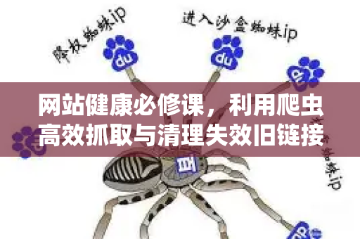 网站健康必修课，利用爬虫高效抓取与清理失效旧链接全指南