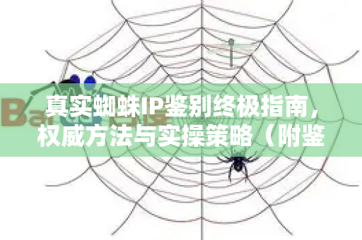 真实蜘蛛IP鉴别终极指南，权威方法与实操策略（附鉴别工具）