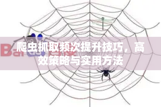 爬虫抓取频次提升技巧，高效策略与实用方法