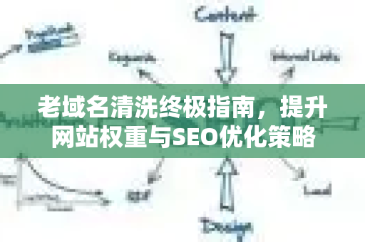 老域名清洗终极指南，提升网站权重与SEO优化策略