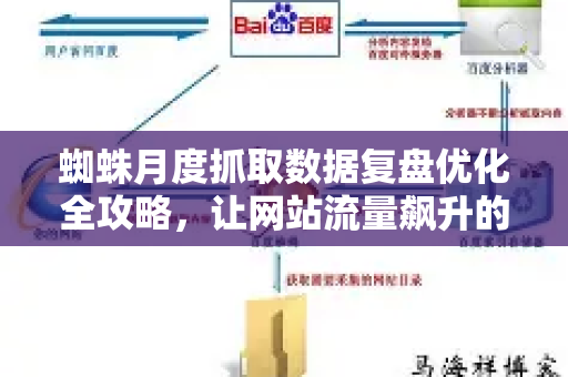 蜘蛛月度抓取数据复盘优化全攻略，让网站流量飙升的秘诀