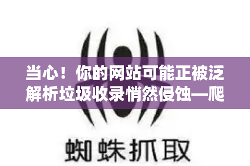 当心！你的网站可能正被泛解析垃圾收录悄然侵蚀—爬虫防护全攻略