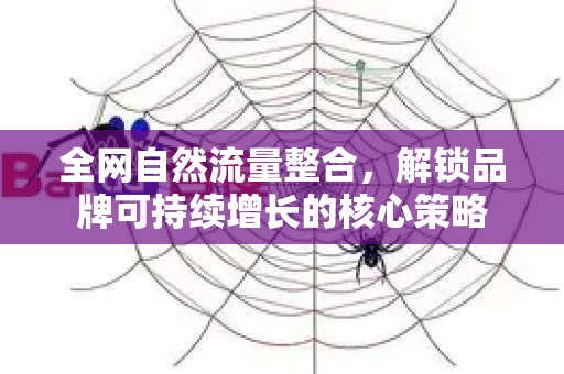 全网自然流量整合，解锁品牌可持续增长的核心策略