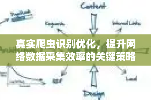 真实爬虫识别优化，提升网络数据采集效率的关键策略-第1张图片-星博讯-专业SEO_网站优化技巧_搜索引擎排名提升