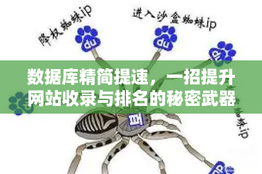 数据库精简提速，一招提升网站收录与排名的秘密武器