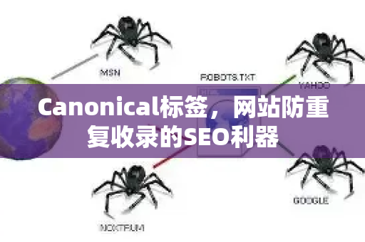 Canonical标签，网站防重复收录的SEO利器
