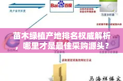苗木绿植产地排名权威解析，哪里才是最佳采购源头？