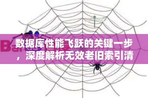 数据库性能飞跃的关键一步，深度解析无效老旧索引清理释放策略与实践