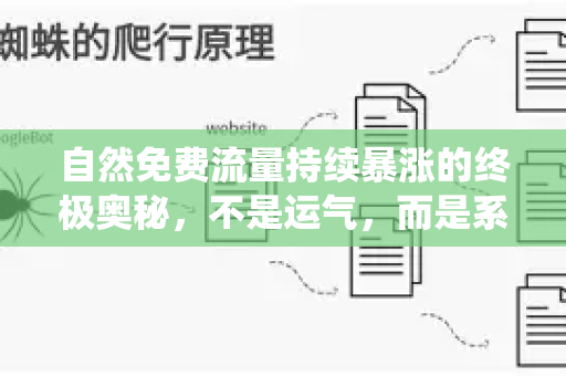 自然免费流量持续暴涨的终极奥秘，不是运气，而是系统