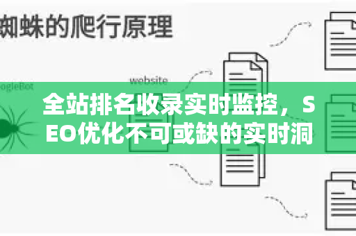 全站排名收录实时监控，SEO优化不可或缺的实时洞察工具