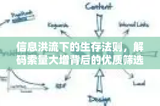 信息洪流下的生存法则，解码索量大增背后的优质筛选革命