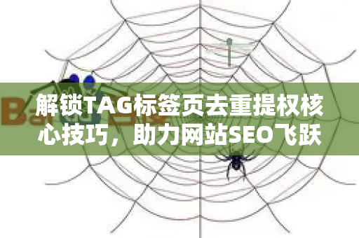 解锁TAG标签页去重提权核心技巧，助力网站SEO飞跃