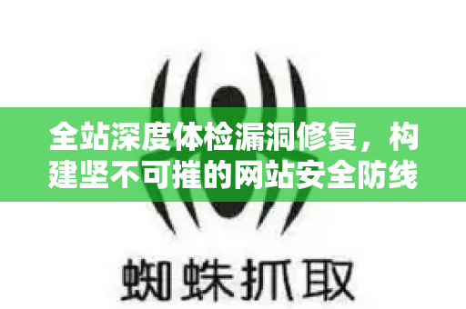 全站深度体检漏洞修复，构建坚不可摧的网站安全防线-第1张图片-星博讯-专业SEO_网站优化技巧_搜索引擎排名提升