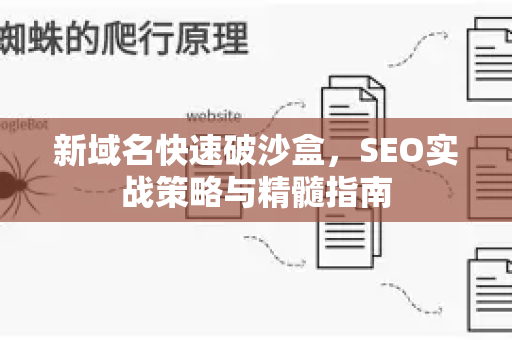 新域名快速破沙盒，SEO实战策略与精髓指南