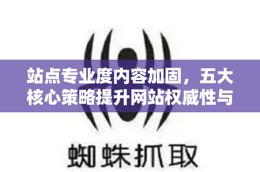 站点专业度内容加固，五大核心策略提升网站权威性与搜索排名