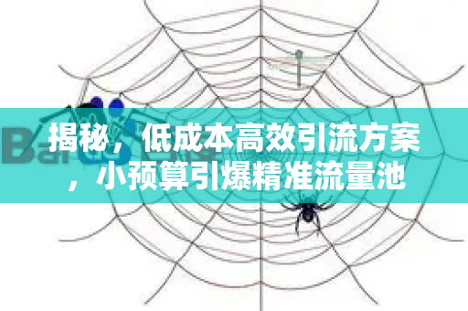 揭秘，低成本高效引流方案，小预算引爆精准流量池