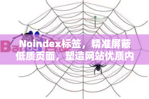 Noindex标签，精准屏蔽低质页面，塑造网站优质内容生态