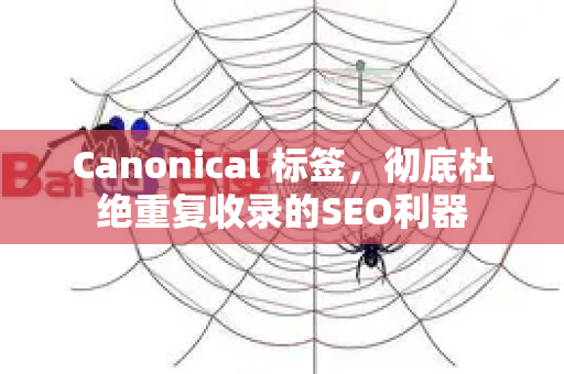 Canonical 标签，彻底杜绝重复收录的SEO利器