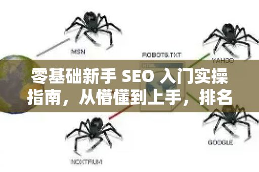 零基础新手 SEO 入门实操指南，从懵懂到上手，排名步步高