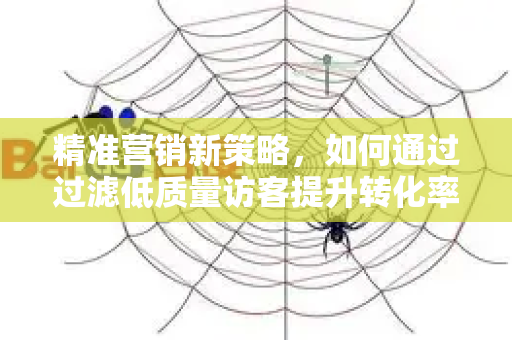 精准营销新策略，如何通过过滤低质量访客提升转化率-第1张图片-星博讯-专业SEO_网站优化技巧_搜索引擎排名提升