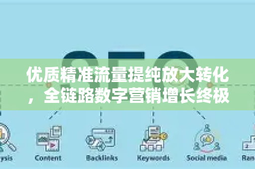 优质精准流量提纯放大转化，全链路数字营销增长终极指南-第1张图片-星博讯-专业SEO_网站优化技巧_搜索引擎排名提升